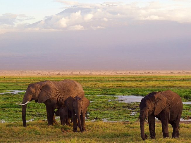 4 Day Kenya Mid Range Safari At Masai Mara National Reserve And Lake