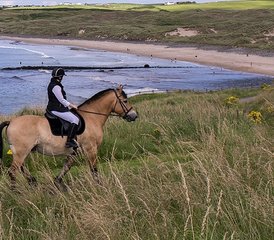 7 jours en stage d’équitation Signature châteaux, Chaussée des Géants, côte et campagne en Irlande du Nord, Royaume - Photo 3