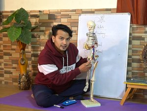10 Day 15-Hour Online Anatomy of Yoga Teacher Training Series With Rishikesh Yogkulam