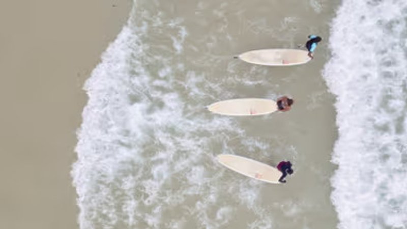 6 Day Surf Camp in Dakar, Senegal with Lagoon Visit, Market Tour, and Local Cuisine