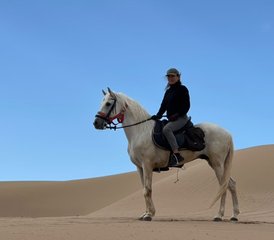118 jours de randonnée équestre Découverte du Maroc : de la côte au désert - Photo 1