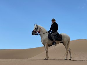 8-Daagse Marokko Ontdekking Paardrijavontuur van de Kust naar de Woestijn