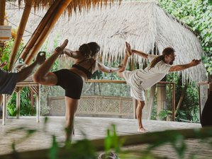 31 Day 300-Hour Advanced Hatha Yoga Teacher Training with Free Sound Healing in Bali, Indonesia