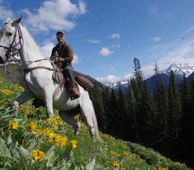 7 Day Mountain Goat Kid Counting and Conservation Horse Riding Tour in Canada - Photo 5