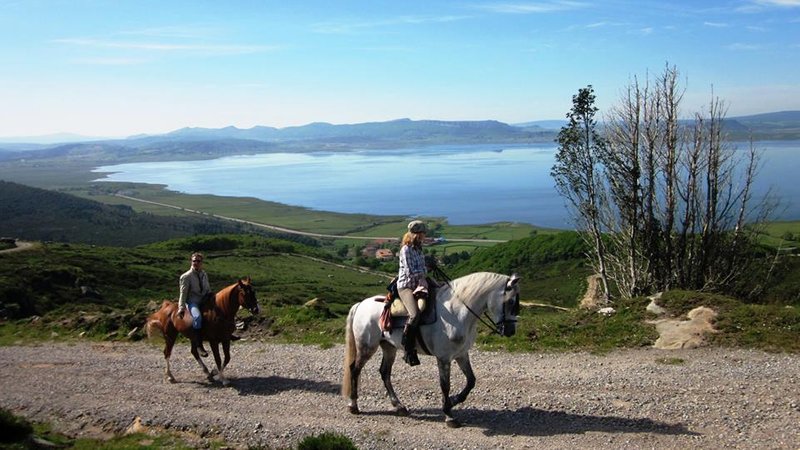 8 Day Camino de Santiago Horse Riding Holiday Roncesvalles - St. Domingo de Calzada, Spain