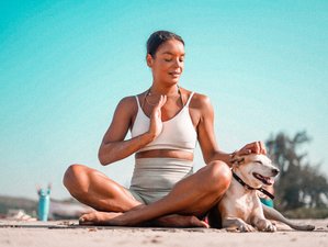 New Me Package: 3-Day Retreat with Ayurveda and Yoga in Goa, India