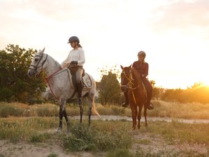7 Day Lycian Way Trail Riding Tour in Turkey for Experienced Riders - Chase Pegasus on Horseback!