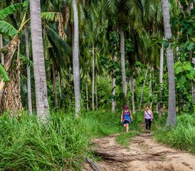 15-tägiges ganzheitliches Fitness- und Yoga-Retreat in Koh Samui, Thailand - Photo 3