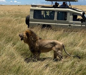76 días del mejor safari por Kenia en Maasai Mara, Lago Nakuru y Amboseli - Photo 1