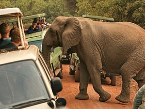 4 Day The Best of the Northern Circuit Safari in Tarangire, Serengeti, and Ngorongoro, Tanzania