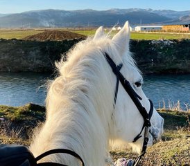 3 Day Guided Horse Riding Holiday in Korçë: Escape to the Albanian Countryside - Photo 4