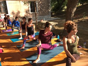 8 Day Yoga of the Elements Yoga Retreat in Lesvos, Greece