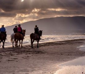 8 jours en stage de cuisine grecque et d’équitation à Zante, îles Ioniennes, Grèce - Photo 4