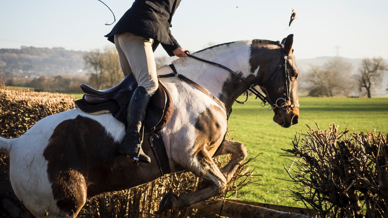 Наездницы подборка нарезка. Horse riding. Ride a Horse. Horse riding in Dynamic. Philip v on horseback.