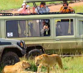 1110 días de safari épico por la sabana en Masái Mara, Amboseli, el lago Nakuru y Samburu, Kenia - Photo 1
