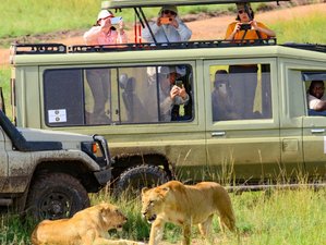 10 Day Masai Mara, Amboseli, Lake Nakuru, and Samburu Epic Bush Safari in Kenya