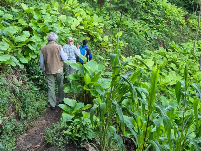 3 Day Lake Atitlan Guided Motorcycle Tour with Forest Walk to See National Bird Quetzal in Guatemala photo 9