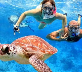 13 Tage Aktive Auszeit mit Wassersport und Landabenteuern in Indonesien - Photo 1