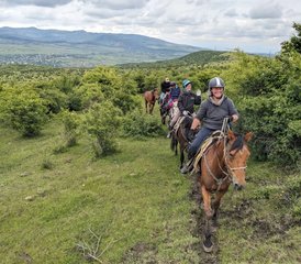 4 Day Center-Based Horse Riding Holiday in Tetritskaro, Georgia - Photo 2