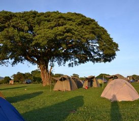 7 Tage Safari in Tarangire, Serengeti, Ngorongoro-Krater und Lake Manyara, Arusha, Tansania - Photo 4