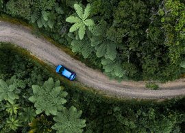 West Coast, New Zealand Retreats & Trips