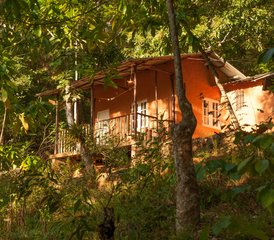 Vierdaagse retraite met trektochten, koken, herbebossing en yoga in Kandy, Sri Lanka - Photo 3