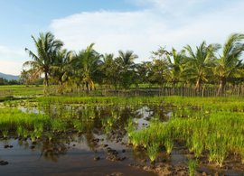 Kampot Retraites et Voyages