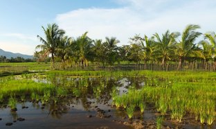 Kampot Retraites et Voyages