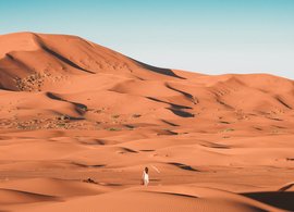 Sahara Retreats & Trips