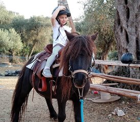 15 Day Swimming with Horses, Natural Horsemanship, and Horse Trekking Holiday in Corfu, Greece - Photo 1