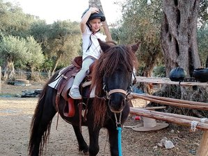 5 Day Swimming with Horses, Natural Horsemanship, and Horse Trekking Holiday in Corfu, Greece