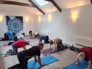 4 Tage Entspannendes Retreat mit Yoga, Tai Chi und Wanderungen, Südwales