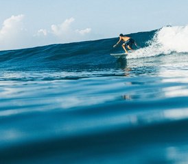 75 jours en stage de connexion à la terre (surf et yoga) à Santa Teresa, Costa Rica - Photo 1