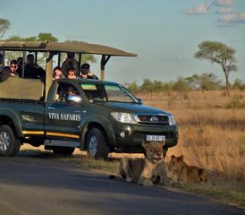 3 Tage klassische Big Five Safari im Balule Naturreservat und Kruger Nationalpark, Südafrika - Photo 2