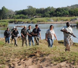 5 Day Luxury South African Safari in Kruger National Park and Balule Nature Reserve - Photo 2