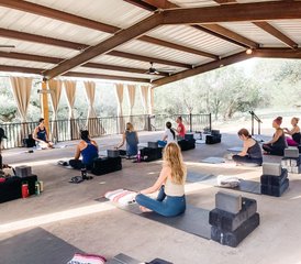 10200-Hour Hybrid: Self-Paced Online and 5 Day In-Person Yoga Teacher Training in Texas, USA - Photo 1