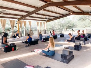 200-Hour Hybrid: Self-Paced Online and 4 Day In-Person Yoga Teacher Training in Texas, USA