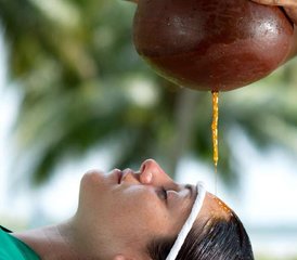 8 jours en retraite bien-être de yoga et d’ayurvéda tout compris au Kerala, Inde du Sud - Photo 2