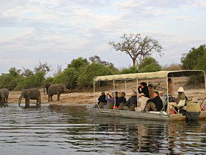 3 Days Camping Safari Chobe National Park, Botswana
