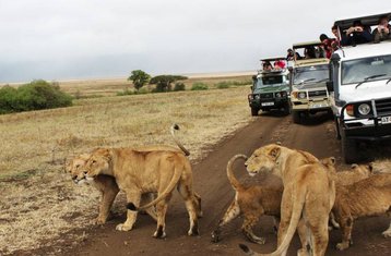 4 días de safari económico en Masái Mara, el lago Naivasha y el parque nacional de Hell’s Gate, Kenia