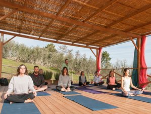 9 Day Relaxation & Yoga Retreat in the Heart of Tuscany, Italy with Wine Tasting & Olive Oil Tasting
