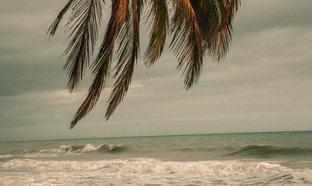La Guajira Retraites en Reizen