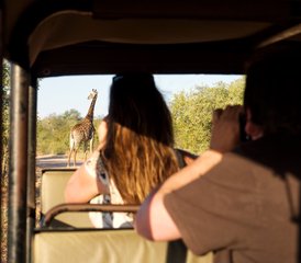 4 Day Budget Tent Safari in Balule Nature Reserve and Kruger National Park, South Africa - Photo 2