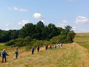 14 Day Ayurveda and Walking Meditation Retreat in the Champagne-Ardenne, France