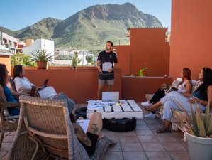 8 Day Intensive Business Development Course for Yoga Teachers in Tenerife, Spain
