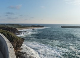 Jalisco Retreats & Trips