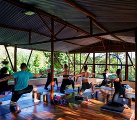 421 Day Yoga and Detox Holiday in Arenal, Alajuela, Costa Rica - Photo 1