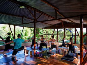 21 Day Yoga and Detox Holiday in Arenal, Alajuela, Costa Rica