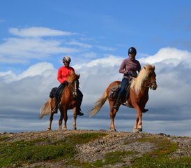 2 Tage Sommer Reiturlaub in den Bergen von Kebnekaise, Schweden - Photo 5