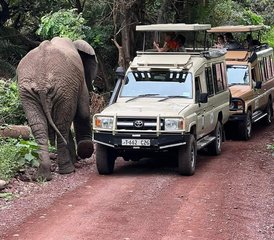 6 Days Tarangire, Serengeti, Ngorongoro Crater and Lake Manyara Safari in Tanzania - Photo 2